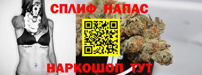 PSILOCYBIN Бугуруслан