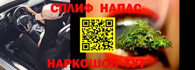 PSILOCYBIN Бугуруслан