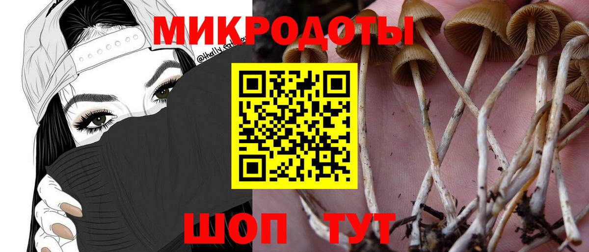 Псилоцибиновые грибы MAGIC MUSHROOMS  Вход с VPN  хочу   Семёнов 